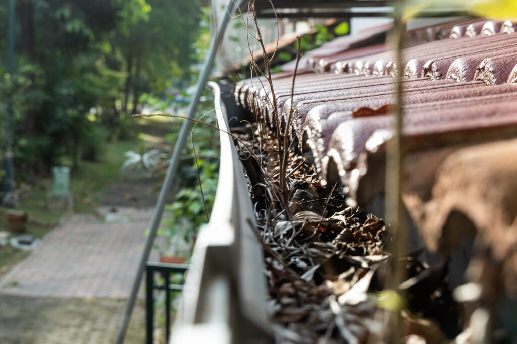 gutter cleaning chorleywood